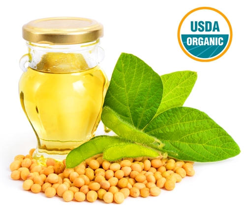 wholesale organic soybean oil suppliers in united states